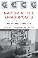 Cover of Maoism at the Grassroots
