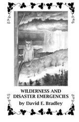 Cover of Wilderness and Disaster Emergencies