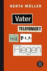 Cover of Vater telefoniert mit den Fliegen