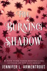 Cover of The Burning Shadow