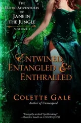 Cover of Entwined, Entangled, & Enthralled
