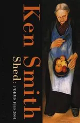 Cover of Shed