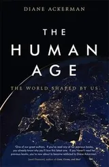 Cover of The Human Age