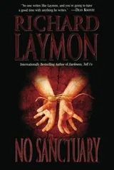 Cover of No Sanctuary