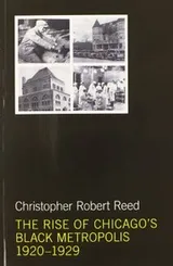 Cover of The rise of Chicago's Black metropolis, 1920-1929