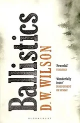 Cover of Ballistics