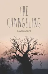 Cover of The Changeling