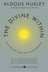 Cover of The Divine Within