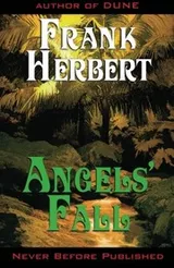 Cover of Angels' Fall