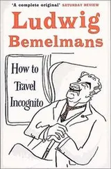 Cover of How to Travel Incognito