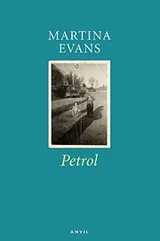 Cover of Petrol