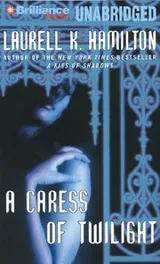 Cover of A Caress of Twilight
