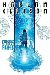Cover of Phoenix Without Ashes