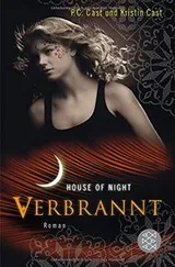 Cover of House of Night 07. Verbrannt