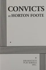 Cover of Convicts