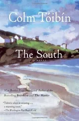 Cover of The South
