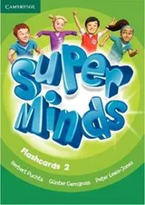 Cover of Super Minds Level 2 Flashcards