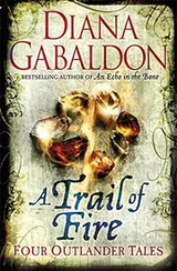 Cover of A Trail of Fire