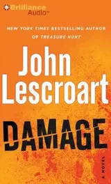 Cover of Damage