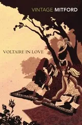 Cover of Voltaire in Love