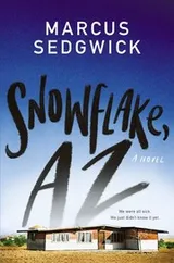 Cover of Snowflake, AZ