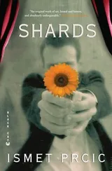 Cover of Shards