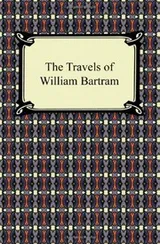 Cover of The Travels of William Bartram