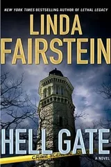Cover of Hell Gate