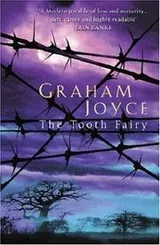 Cover of Tooth Fairy