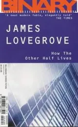 Cover of Leningrad nights