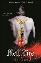 Cover of Hell Fire