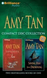 Cover of Amy Tan CD Collection