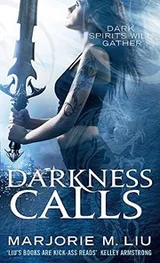 Cover of Darkness Calls : Hunter Kiss