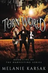 Cover of The Torn World