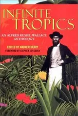 Cover of Infinite tropics