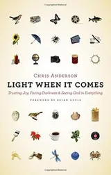 Cover of Light When It Comes