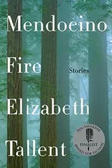 Cover of Mendocino Fire