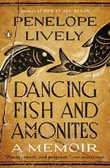 Cover of Dancing Fish and Ammonites