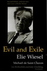 Cover of Mal et l'exil
