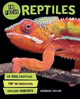 Cover of In Focus