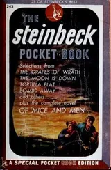 Cover of The Steinbeck Pocket Book