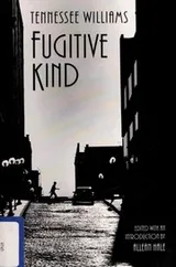 Cover of The fugitive kind