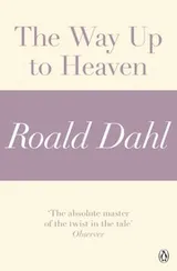 Cover of The Way Up to Heaven