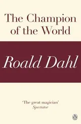 Cover of The Champion of the World