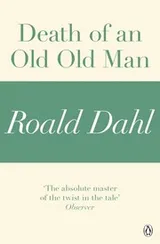 Cover of Death of an Old, Old Man