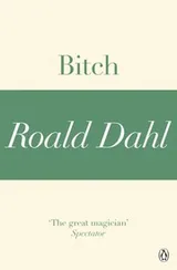 Cover of Bitch