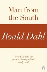 Cover of Man from the South