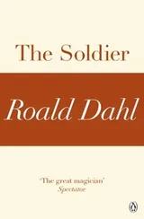 Cover of The Soldier