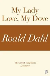 Cover of My Lady Love, My Dove