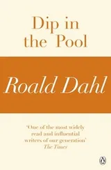 Cover of Dip in the Pool